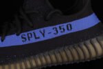 350 V2 - Image 5